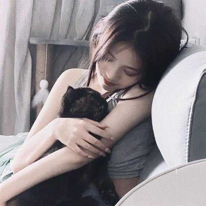 官能的法则